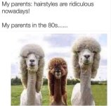 IMG_0235.jpeg